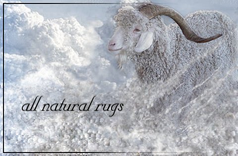 an image of registered buck scion floating in clouds