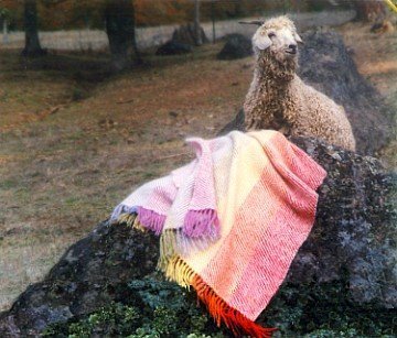 A custom designed brilliantly colored rainbow throw