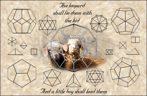 platonic solids and doe kids