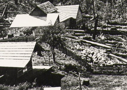 view of the Jacques herd