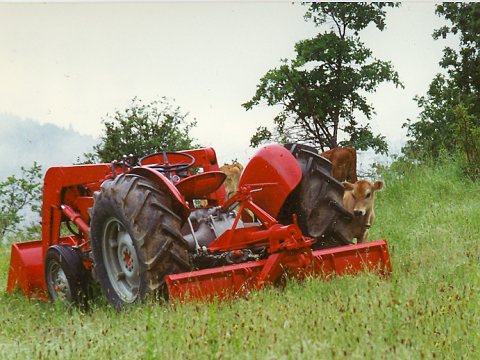 Stan in the Montana days