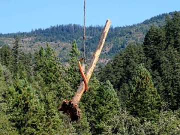 helicopter lifting a log