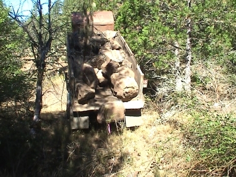 Alexandra Creek Delivery