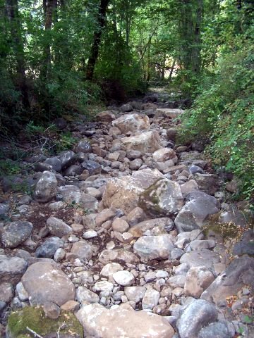 Boulder Refugia