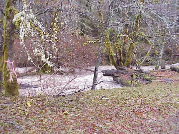 picture of Singing Falls at flood stage