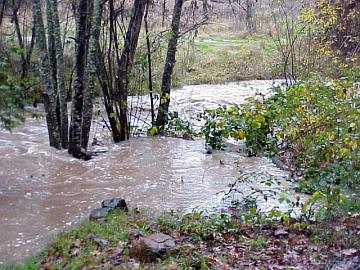 picture of Singing Falls at flood stage