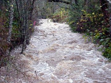 picture of Singing Falls at flood stage