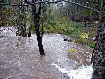 picture of Singing Falls at flood stage