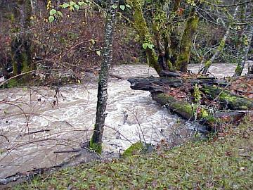 picture of Singing Falls at flood stage