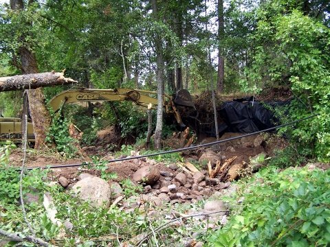 stabilizing the stream bank