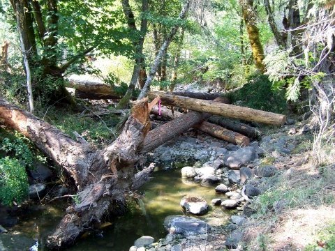 large wood placement