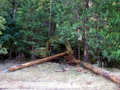 large wood placement