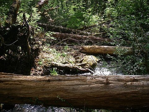 pool enhancement structures