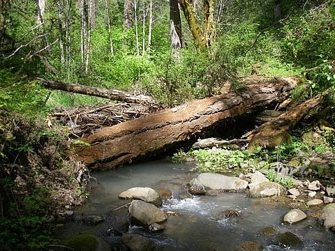 Aggradation and Complexity