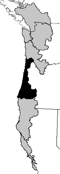 coastal spawning grounds