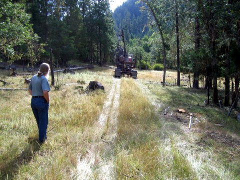arrival at the staging area