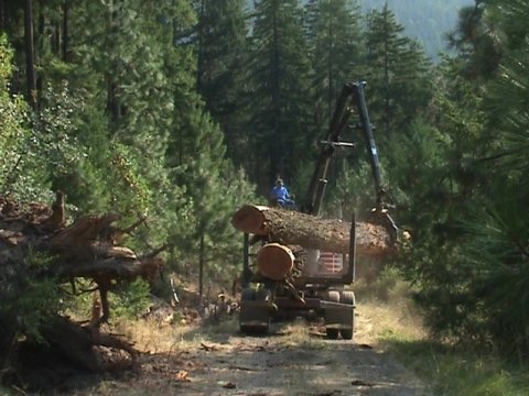 high grade large wood