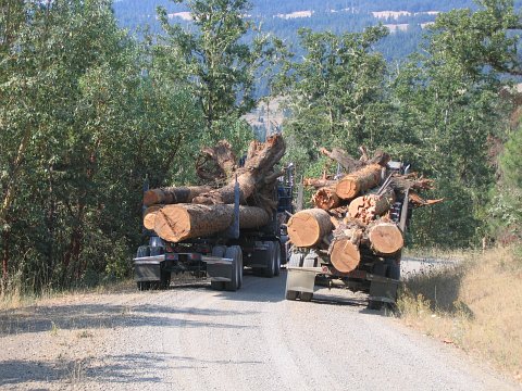 Mike and Rick hauling each a load