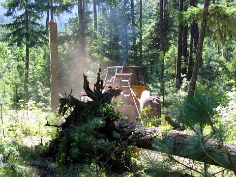 skidder image