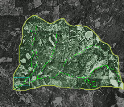 16 meters view of Joe Hall Watershed
