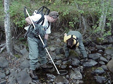 august 2005 fish rescue image
