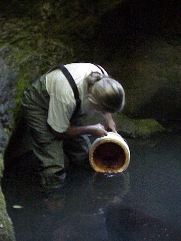 august 2005 fish rescue image