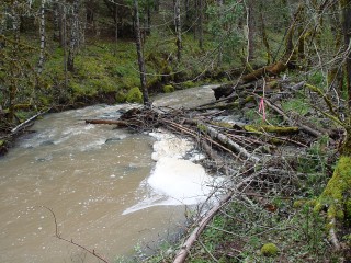 sites image illustrating project progress 