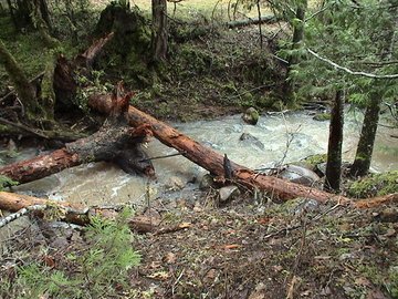 sites image illustrating project progress 