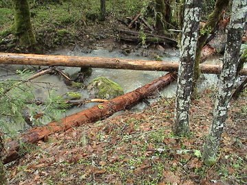 sites image illustrating project progress 