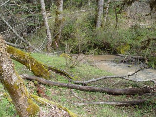 sites image illustrating project progress 