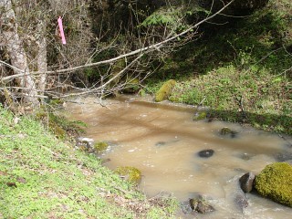 sites image illustrating project progress 