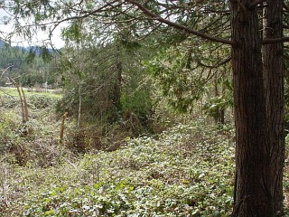 sites image illustrating project progress 