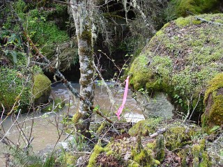 sites image illustrating project progress 