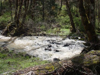 sites image illustrating project progress 