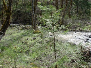 sites image illustrating project progress 