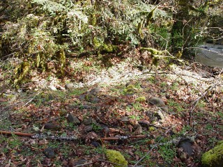 sites image illustrating project progress 