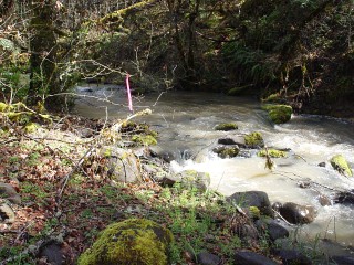 sites image illustrating project progress 