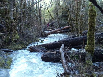 sites image illustrating project progress 