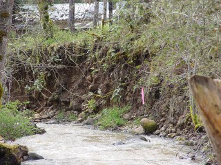 sites image illustrating project progress 