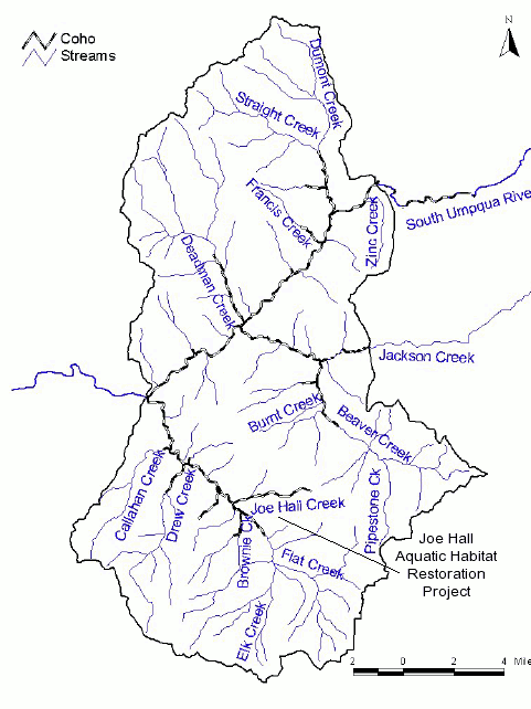 coho salmon usage near Joe Hall