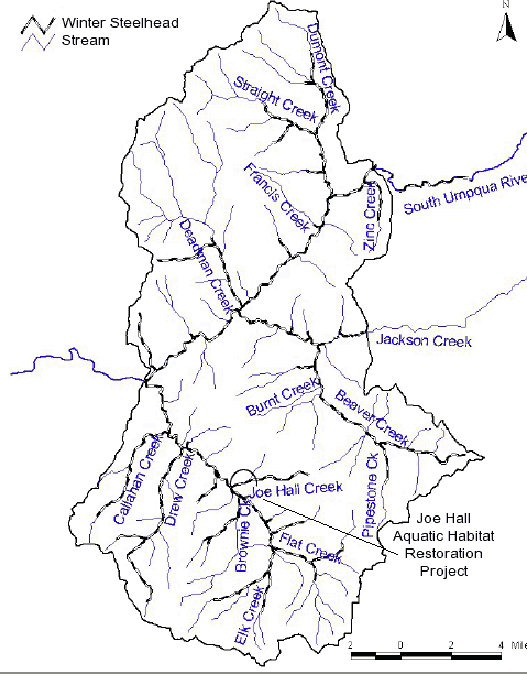 steelhead trout usage near Joe Hall