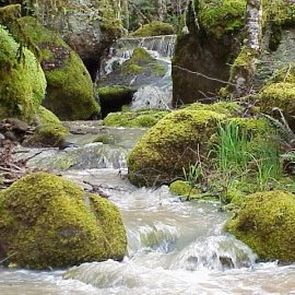 the flowing out of waters