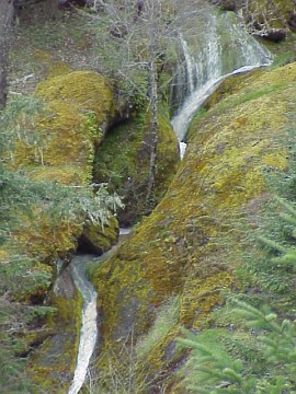 upper reach of singing falls